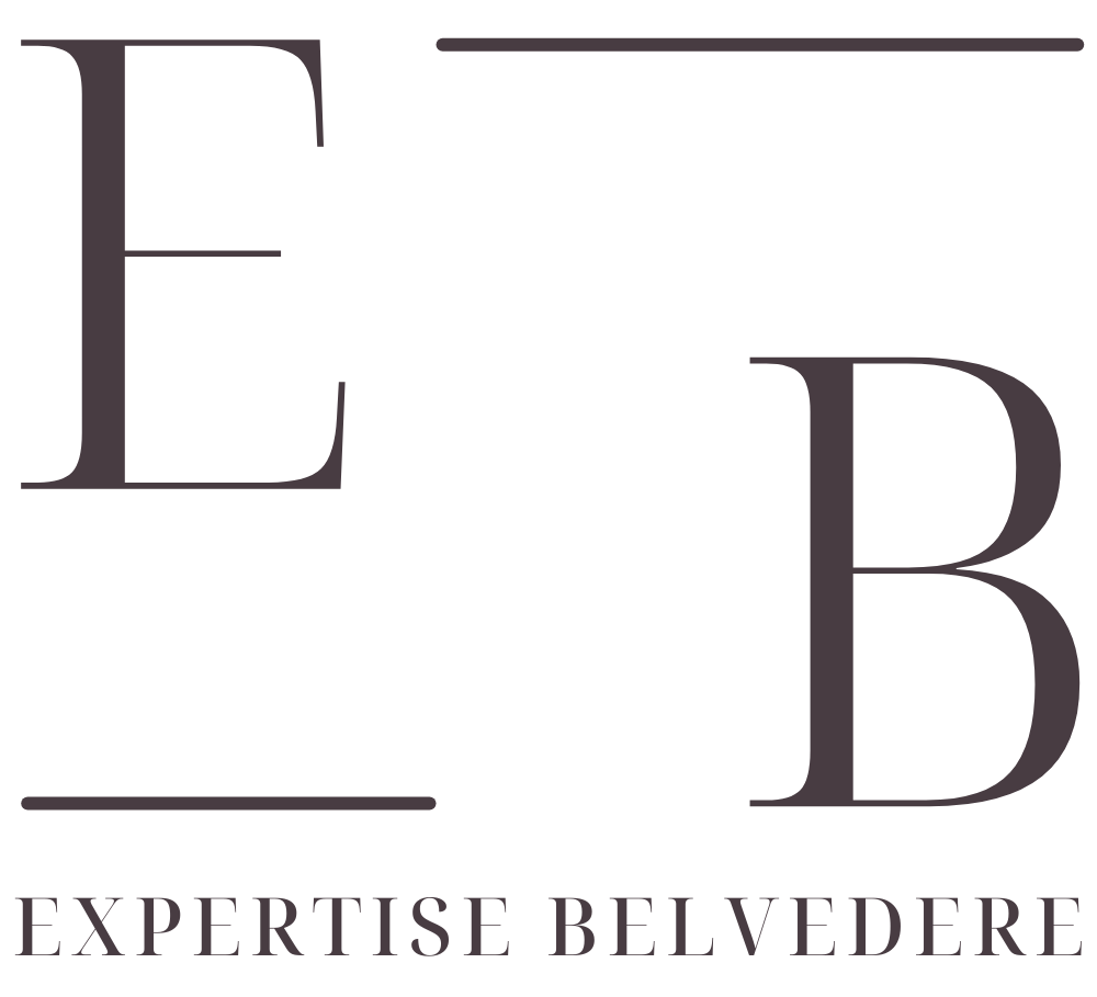 Logo ExpertiseBelvedere